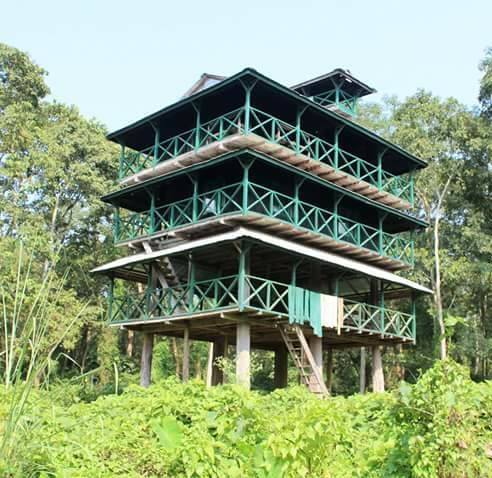 Community Forest