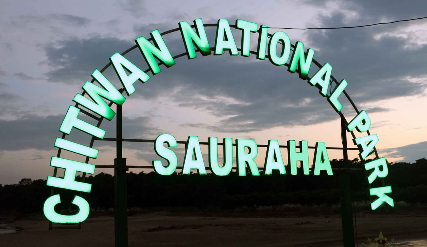 Community Forest vs National Forest: What Is the Difference? — Sauraha Nepal travel guide