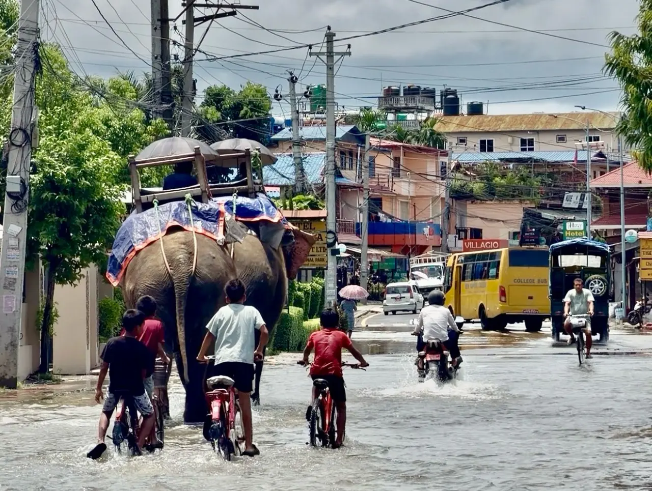 Sauraha After the 2026 Floods: What Really Happened and Is It Safe to Visit? — Sauraha Nepal travel guide
